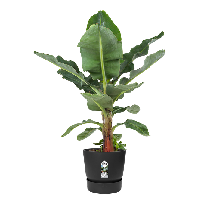 greenville rund 47cm living schwarz